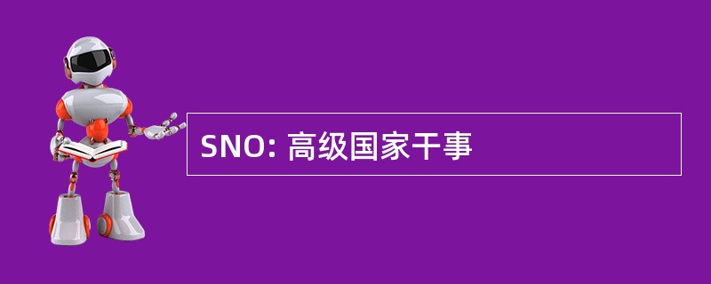 SNO: 高级国家干事