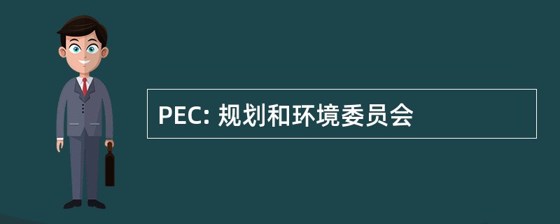 PEC: 规划和环境委员会