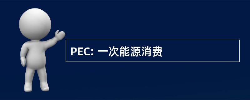 PEC: 一次能源消费