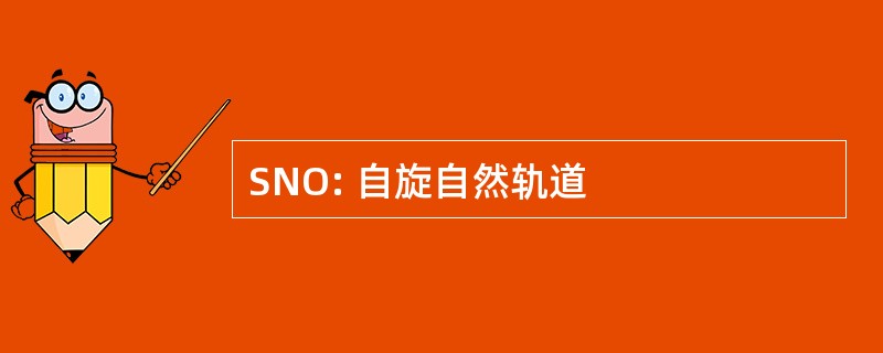 SNO: 自旋自然轨道