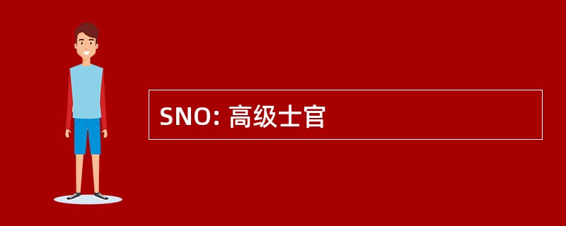 SNO: 高级士官