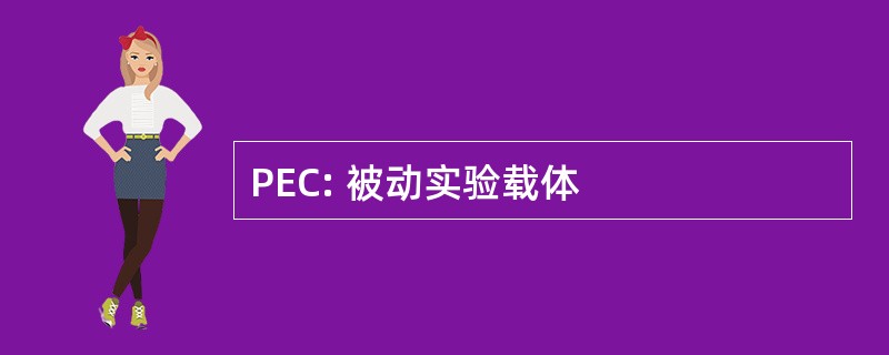 PEC: 被动实验载体