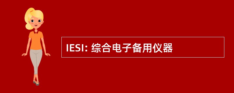 IESI: 综合电子备用仪器