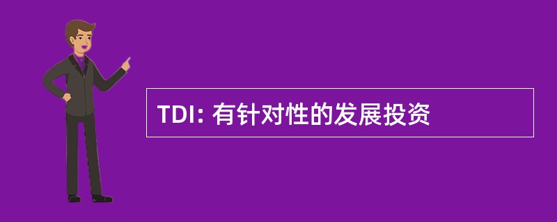 TDI: 有针对性的发展投资