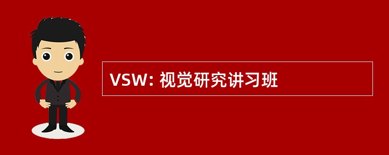 VSW: 视觉研究讲习班