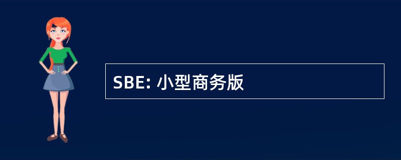 SBE: 小型商务版