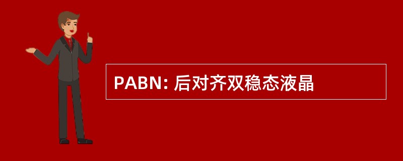 PABN: 后对齐双稳态液晶