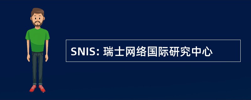 SNIS: 瑞士网络国际研究中心