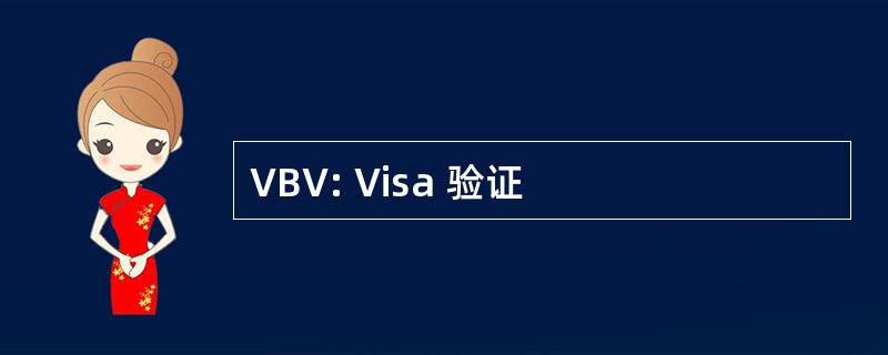 VBV: Visa 验证