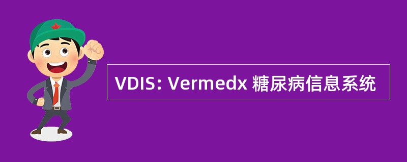 VDIS: Vermedx 糖尿病信息系统