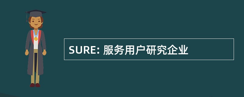 SURE: 服务用户研究企业