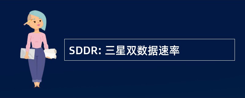 SDDR: 三星双数据速率