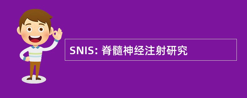 SNIS: 脊髓神经注射研究