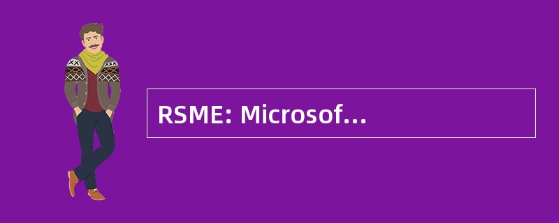 RSME: Microsoft Excel 的补救措施服务