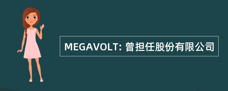 MEGAVOLT: 曾担任股份有限公司