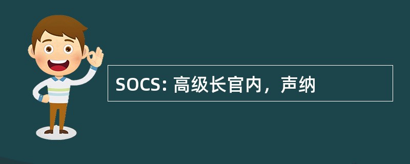 SOCS: 高级长官内，声纳