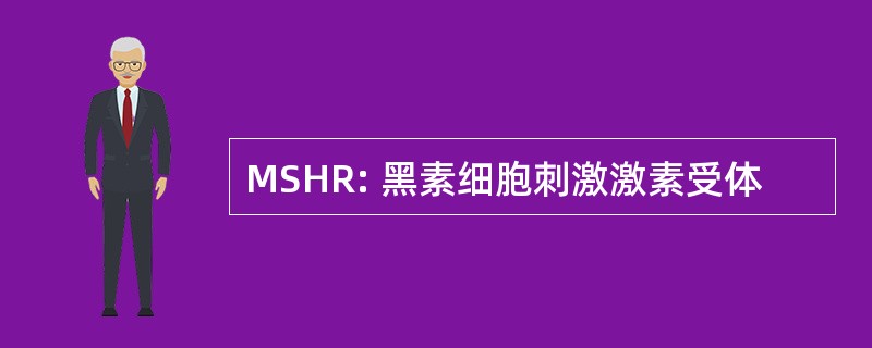 MSHR: 黑素细胞刺激激素受体