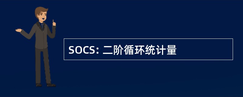 SOCS: 二阶循环统计量