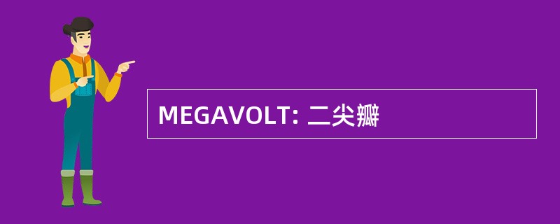 MEGAVOLT: 二尖瓣