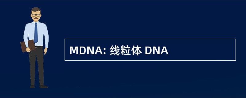 MDNA: 线粒体 DNA