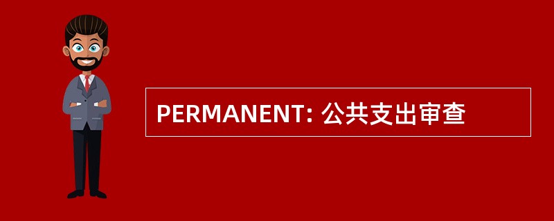 PERMANENT: 公共支出审查