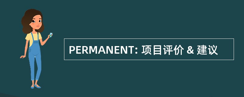 PERMANENT: 项目评价 & 建议