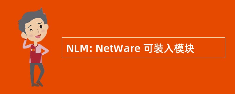 NLM: NetWare 可装入模块