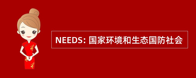 NEEDS: 国家环境和生态国防社会