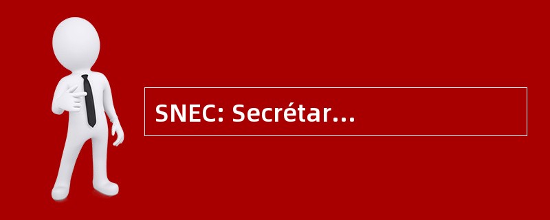 SNEC: Secrétariat 国家德促进天主教