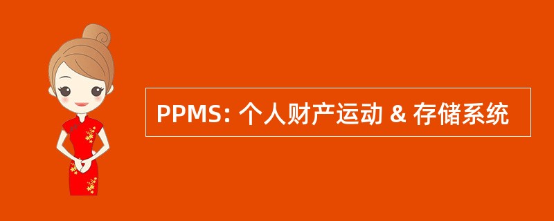 PPMS: 个人财产运动 & 存储系统