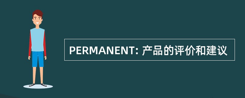 PERMANENT: 产品的评价和建议