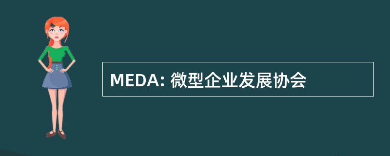 MEDA: 微型企业发展协会