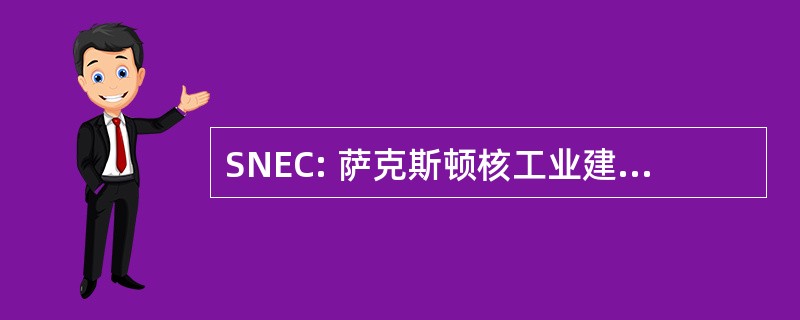 SNEC: 萨克斯顿核工业建设集团公司