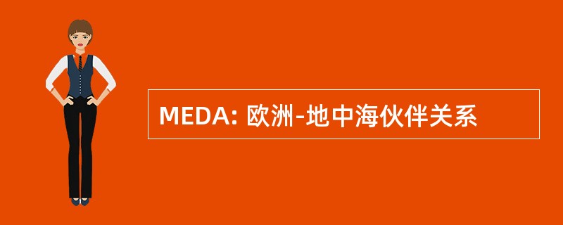 MEDA: 欧洲-地中海伙伴关系