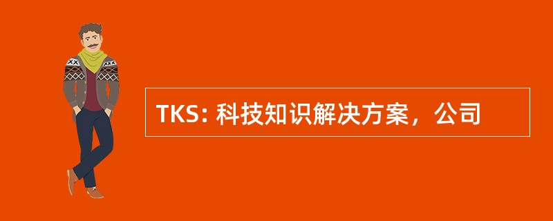 TKS: 科技知识解决方案，公司