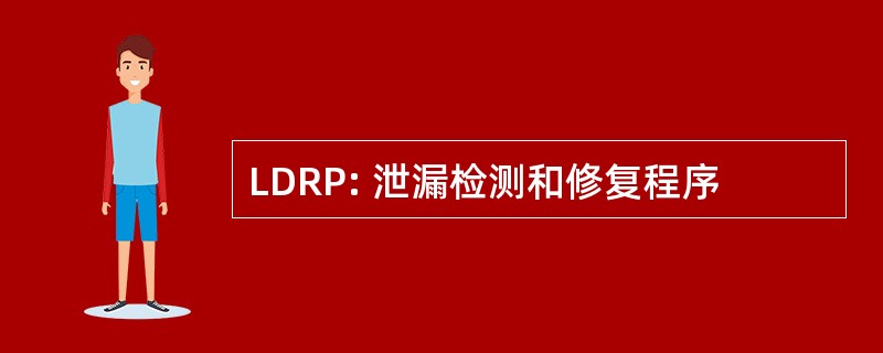 LDRP: 泄漏检测和修复程序