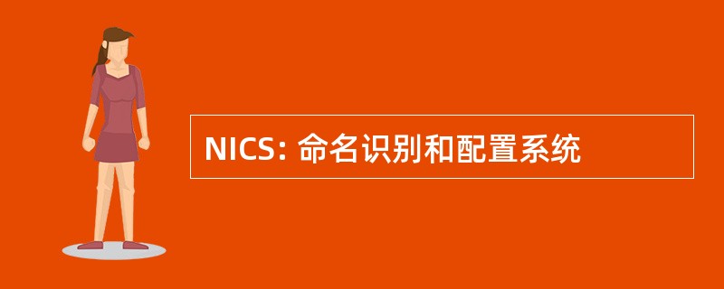 NICS: 命名识别和配置系统