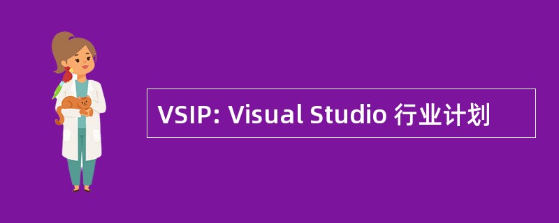 VSIP: Visual Studio 行业计划