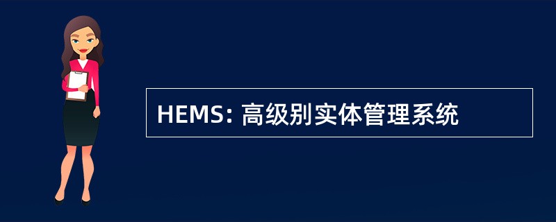 HEMS: 高级别实体管理系统