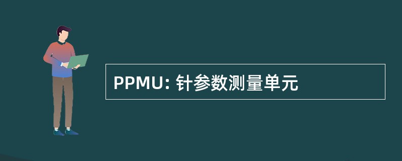 PPMU: 针参数测量单元