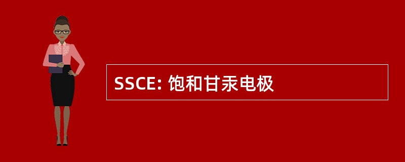 SSCE: 饱和甘汞电极