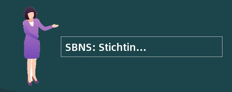 SBNS: Stichting Bodemsanering 荷兰铁道