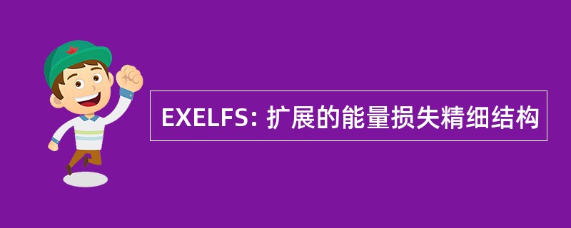 EXELFS: 扩展的能量损失精细结构