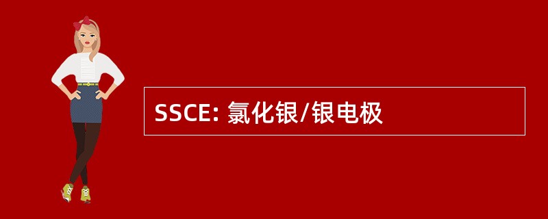 SSCE: 氯化银/银电极