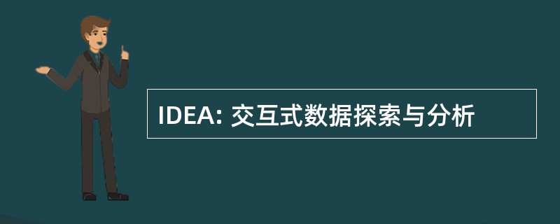 IDEA: 交互式数据探索与分析