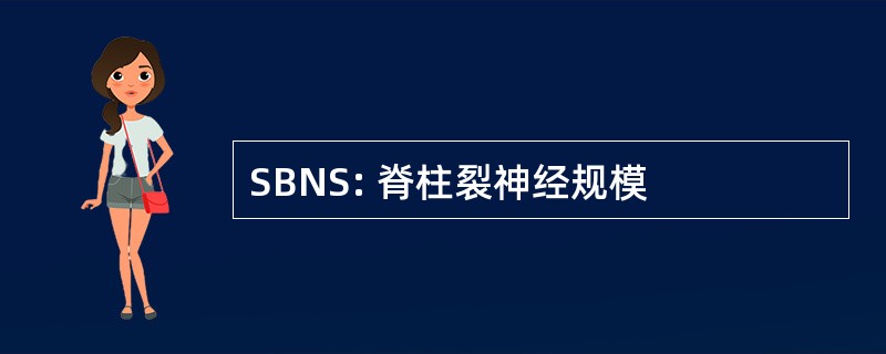 SBNS: 脊柱裂神经规模