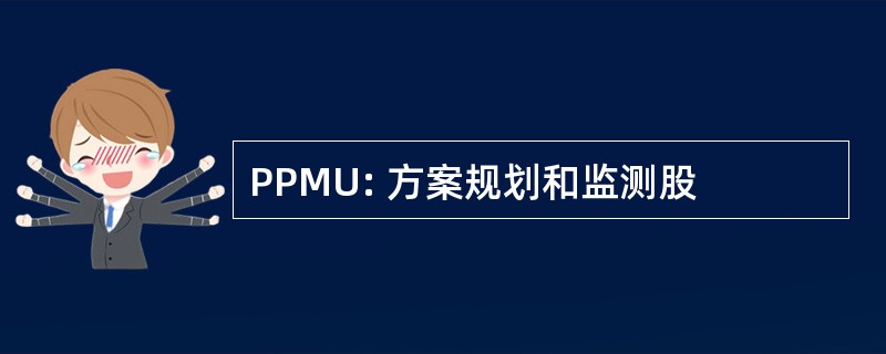 PPMU: 方案规划和监测股