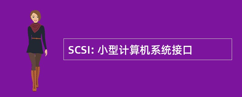 SCSI: 小型计算机系统接口