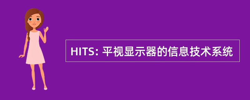 HITS: 平视显示器的信息技术系统