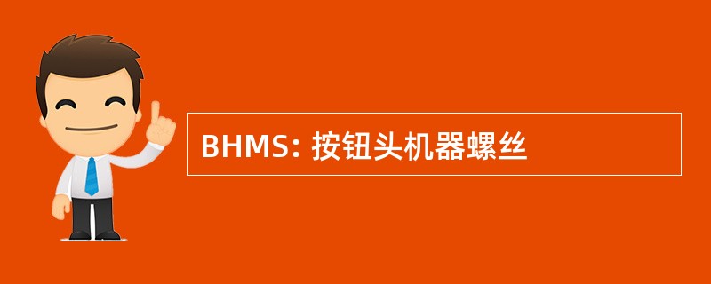 BHMS: 按钮头机器螺丝